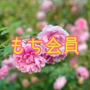 もち会員