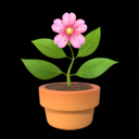 水やりプラン🪴