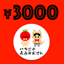 【3000円】愛de応援プラン