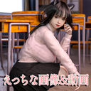 えっちな画像や動画プラン