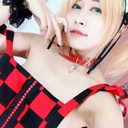 はりねずみ見放題プラン