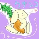 有料プラン