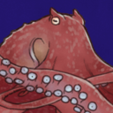 ミズダコプラン