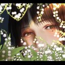 梅プラン