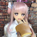 応援＆バックナンバー用プラン