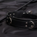 性処理ペットプラン