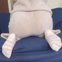 のぞきみぷらん