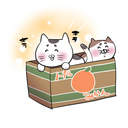 頑丈なみかん箱