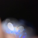 初めまして･.｡*･.｡*