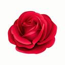 プレミアムプラン