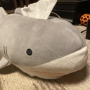 泡銭プラン