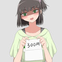300円プラン