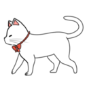 しろねこプラン