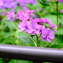 黒瀬のサブスクライト