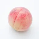 🔰寸止めシコシコプラン🍑