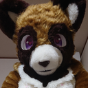 たぬき汁コース