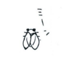 わらのいえプラン