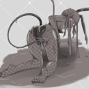 ドンペリシャワー