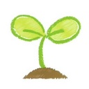 🌱めばえ《お試しプラン》