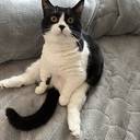 募金コース(豊胸貯金コース)