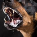 Be●stialy Fucking Plan（獣●オーダープラン）