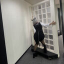 👾超つよつよプラン🐊