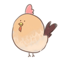 名古屋コーチン