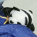 Lilyはじめましてプラン