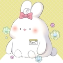 こうさぎプラン