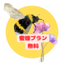 蜜蜂プラン(無料)