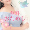 おためしプラン