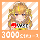 ３０００応援コース