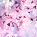 イラストポスト