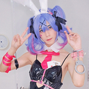 Viper Zero（有料応援プラン）