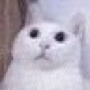 诶嘿（QQ不负责fantia售后）