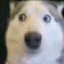 你囊大哟（QQ不负责fantia售后）