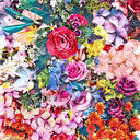 スタンダードプラン