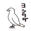 タダのよしたた