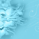 ♡無料プラン♡