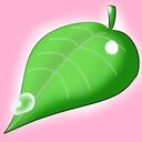 みどりの葉っぱ