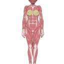 エッチなイラストCG集