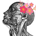 えっ！？ いいんですかこんなに……プラン