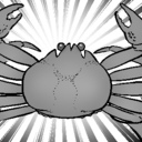 ずわいがにプラン