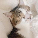 生きているだけで偉いプラン