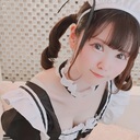 こたまの餌箱🐟🐱