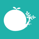 お庭で遊ぶプラン