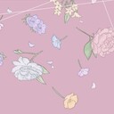 スタンダードプラン