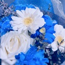 𓏲𓎨一番近くに感じたい