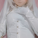 完全有料サポートプログラムです