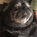 文章記事のみ閲覧可